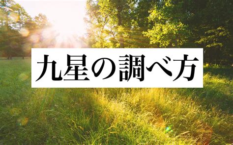 九紫|九紫火星とは？ 性格の特徴や相性の良い星・恋愛。